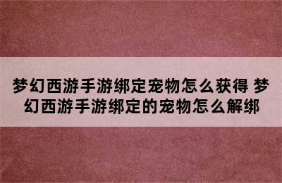 梦幻西游手游绑定宠物怎么获得 梦幻西游手游绑定的宠物怎么解绑